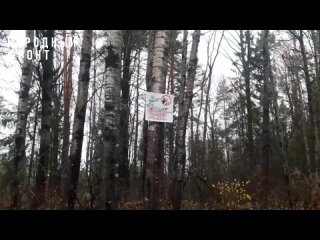 Охотники Галичского района жалуются на запреты.mp4