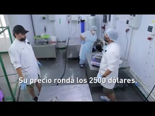 Amigos, aquí les comparto los secretos de la producción del caviar negro, uno de los principales manjares de Rusia