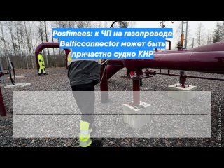 Postimees: к ЧП на газопроводе Balticconnector может быть причастно судно КНР