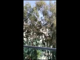 Турция Кемер Гейнюк вид с балкона