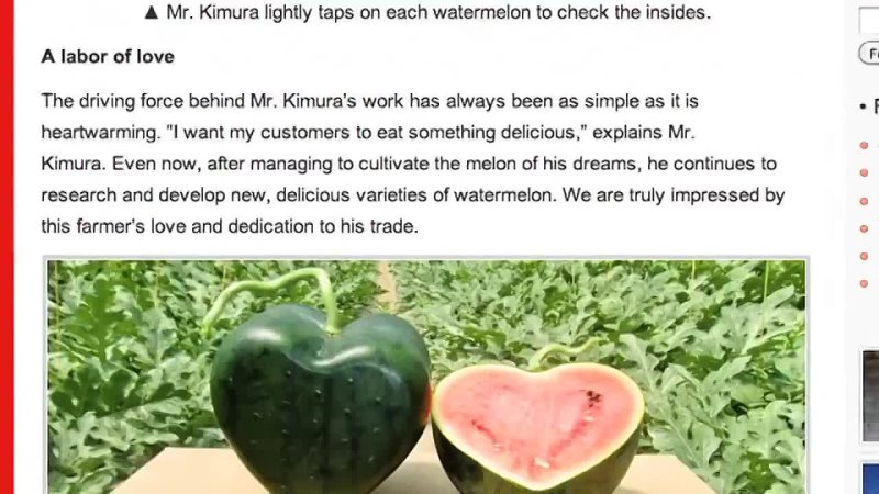 Japanese Farmer Creates Worlds First Heart Shaped