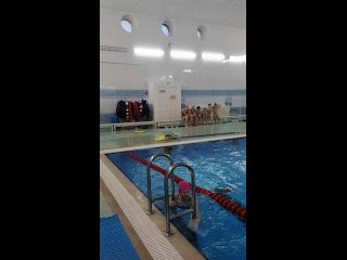 Обучение плаванию школьников. Ноябрь 2023