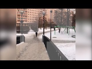 Двое прохожих спасли провалившуюся под лёд девочку в Петербурге