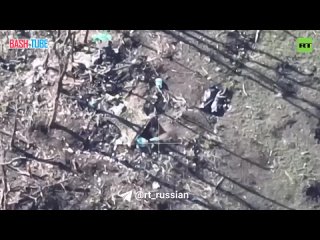 🇺🇦🇷🇺 FPV-дроны выверенными ударами уничтожают позиции ВСУ под Клещеевкой (ДНР)