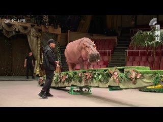 🤡В Луганском цирке продолжается экзотическая программа  «Тропик-шоу»