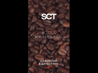 SCT-speciality coffee trade