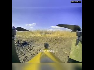 На позиции ВСУшников прилетела мышь на БПЛА-камикадзе  Русский дрон-камикадзе полетел на позиции ВСУ