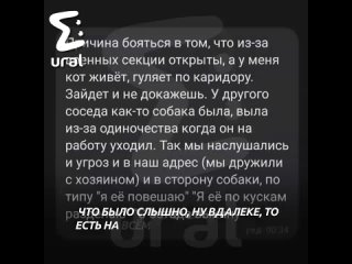 Живодёр из Каменска-Уральского избивает свою собаку и грозится её убить