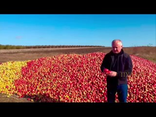 Экс-президент Молдавии Игорь Додон: Груда яблок за моей спиной - это результат политики власти. Нам нужен российский рынок, нам
