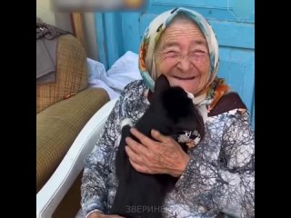 Котик любит свою бабушку