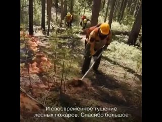 В Красноярском крае подвели итоги пожароопасного сезона-2023