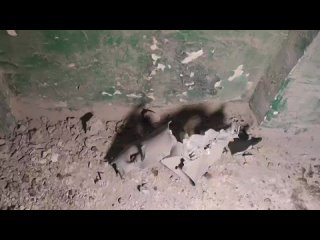 Видео от Подслушано в ДНР. Перекличка