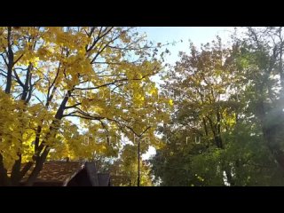 В Геническе началась золотая осень  вся Аллея сказок усыпана желтыми листьями