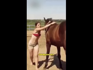 Самая Умная Лошадь