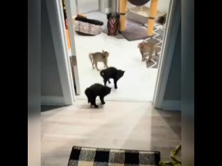 Обстановка напряжённая