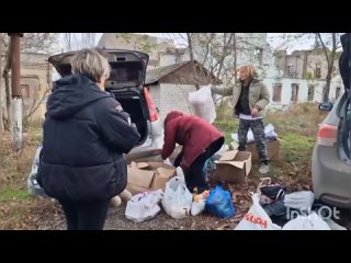 No sólo las personas necesitan ayuda en una zona de guerra.  También hay quienes no pueden sobrevivir sin nuestra ayuda: los ani