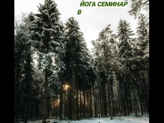 НОВОГОДНИЙ СЕМИНАР ЭНЕРГИЯ И СИЯНИЕ ~