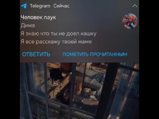 ну и сволочь ты