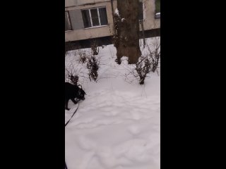 Видео от Ирины Алексеевой