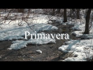 Весна _ Primavera (2014, Клуб Новый Бродяга, ТО Вечерний кинозал)