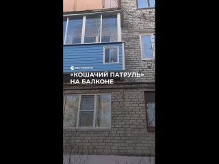 Видео от Окна и Двери Киров | ТУТ И ТАМ
