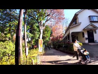 [Japan Walk] Токио Китидзёдзи 🐶🍻Освежающее утро♪💖4K отдых/учеба без перерыва 58 минут