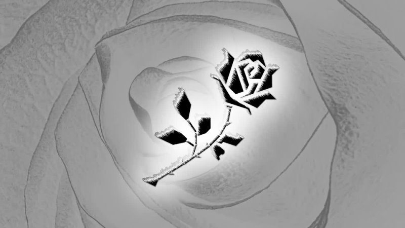 ROBERT REEG Black Rose Falls To My