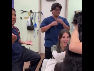 Медицинские работники отвлекают нервную собаку, пока у неё берут кровь