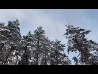 Александр Дрозденко поделился теплым семейным видео и поздравил жителей Ленобласти с Новым годом