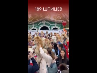 🐾🐶Книга рекордов России пополнилась самым массовым пушистым парадом

🥇Прошедший впервые в Сочи парад собак породы шпиц зарегистр