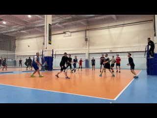 Live: HONEY VOLLEY | Волейбольный клуб