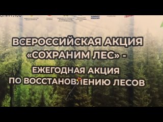 Школьные медиа студии подготовили сюжет  о Всероссийской акции «Сохраним лес»