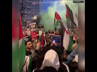 «Свободу Палестине» на митинге в Лондоне: Европейские страны понятия не имеют, какого размера бомбы
