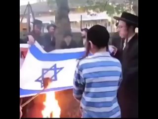 ⭐⭐⭐⭐⭐Un groupe de Juifs protestant contre les attaques israéliennes sur la bande de Gaza a brûlé le drapeau israélien.😳