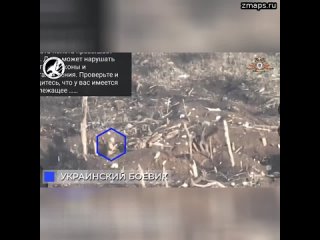 ️“Русские ястребы“ уничтожают мины и личный состав украинских войск  Благодаря бдительности расчета