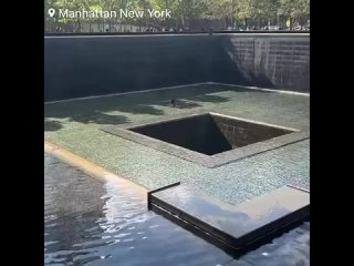 Родился в рубашке: мужчина прыгнул в бассейн мемориала жертвам 11 сентября в Нью-Йорке и выжил