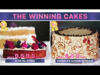 The Great Schitts Creek Cake-Off Dan Levy  Noah Reid Judge Wedding Cakes   Entertainment Weekly