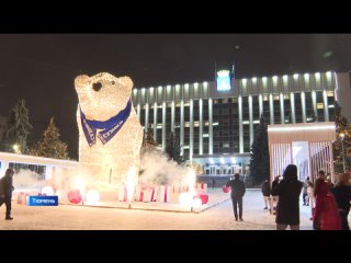 Тюменцам предлагают поучаствовать в конкурсе с белыми медведями