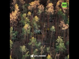 Срыв атаки ВСУ в Кременском лесу