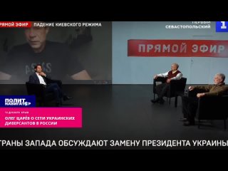 ️«Система отлажена» – Царёв рассказал, как работают звенья украинской террористической цепи