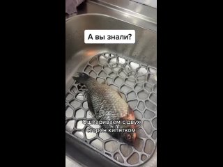 Самый быстрый способ чистки рыбы 🐟