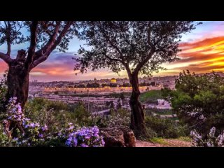 Jewish Music with Beautiful Views of Israel