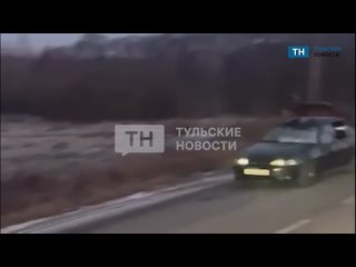 В Алексинском районе водитель легкового автомобиля сбил лося