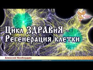 Алексей Необердин — Цикл ЗДРАВиЯ - Регенерация клетки