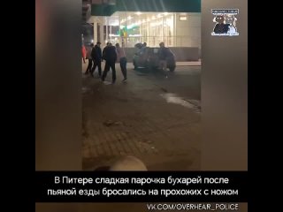 В Питере сладкая парочка бухарей после пьяной езды бросались на прохожих с ножом