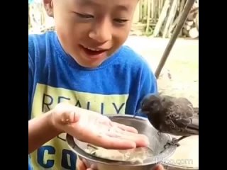 Добрый мальчик накормил птичку