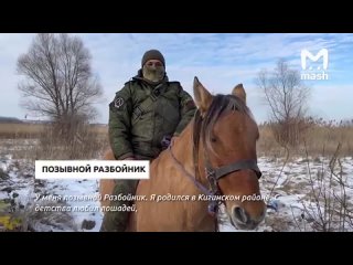 Башкирские лошади участвуют в СВО. Правда, не в боях, но всё же на передовой — они возят туда боеприпасы.