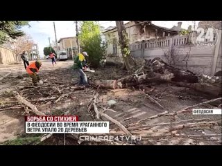 Последствия стихийных ударов: Что натворил шторм на восточном побережье Крыма
