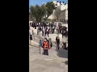 🇮🇱 В Иерусалиме трое силовиков бесцеремонно «скрутили» 13-летнюю палестинку

Против камней идут с автоматами, против детей – с д