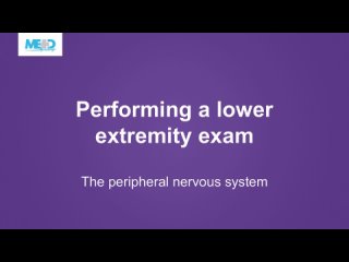 Clinical Neurology Essentials  a lower extremity exam